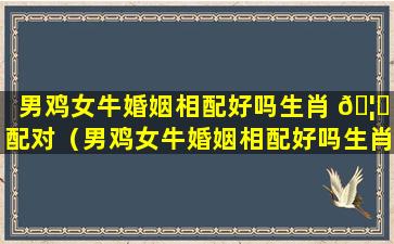 男鸡女牛婚姻相配好吗生肖 🦟 配对（男鸡女牛婚姻相配好吗生肖配对怎么样）